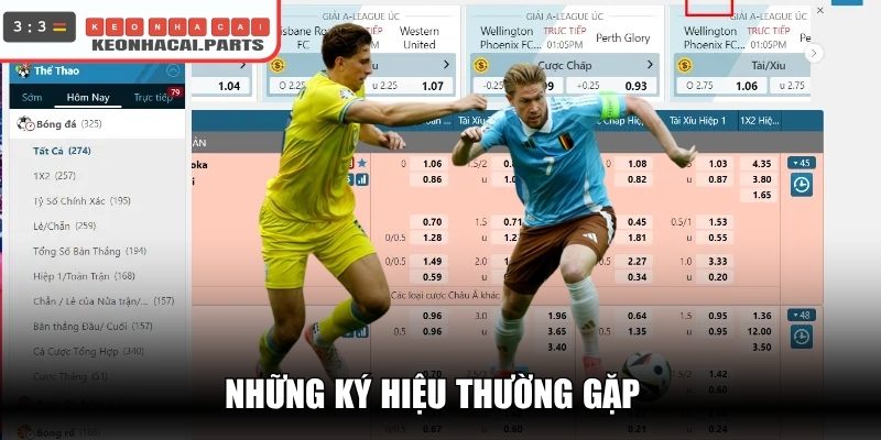 Những ký hiệu thường gặp
