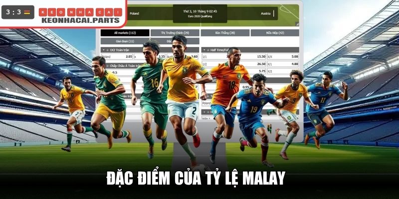 Đặc điểm của tỷ lệ Malay
